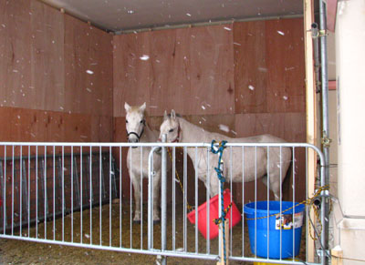081225-2.jpg